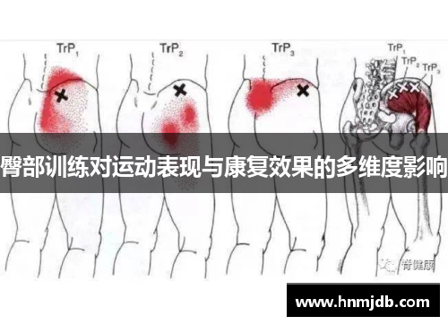 臀部训练对运动表现与康复效果的多维度影响